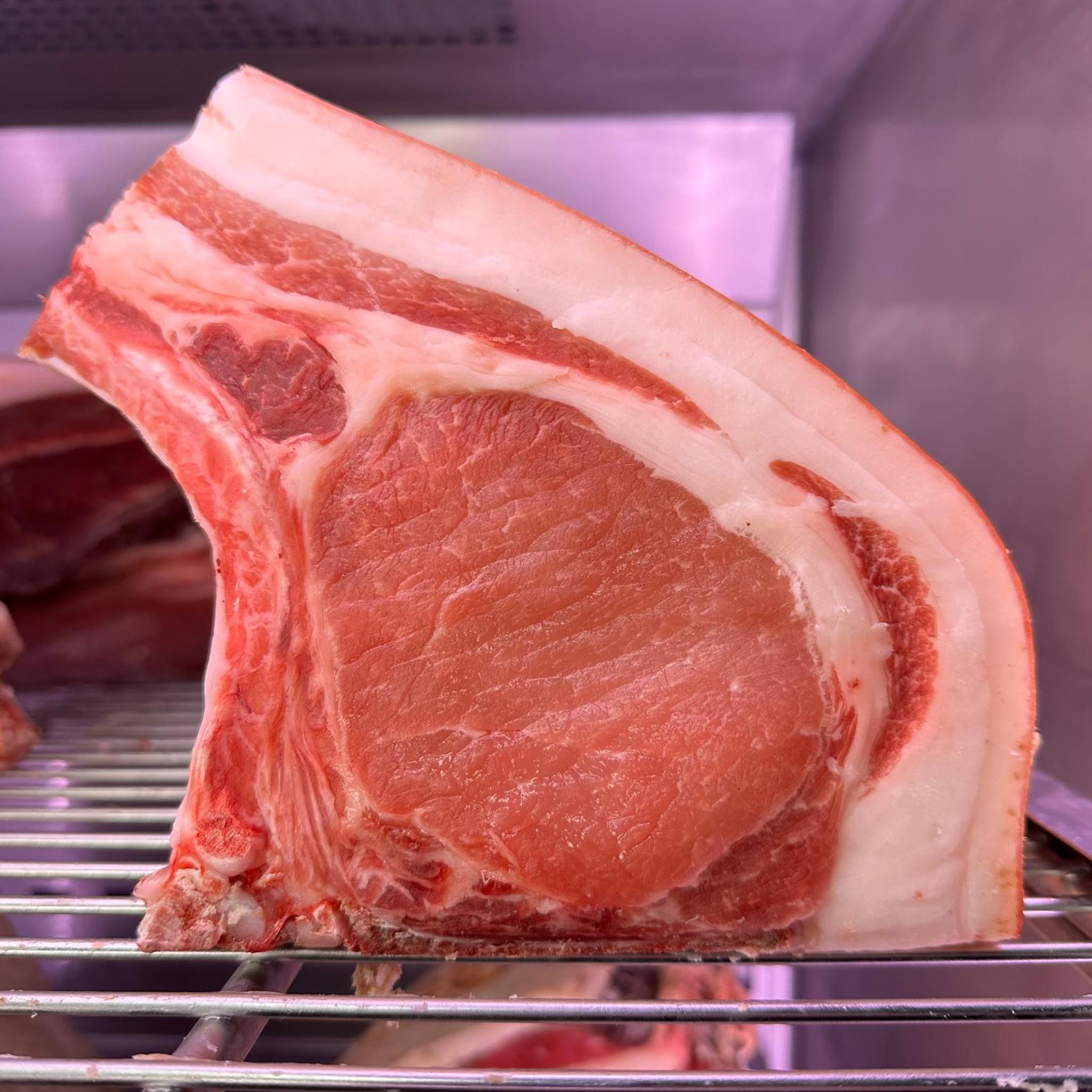 Bistonia dry aged 25 gg di suino tigrinto