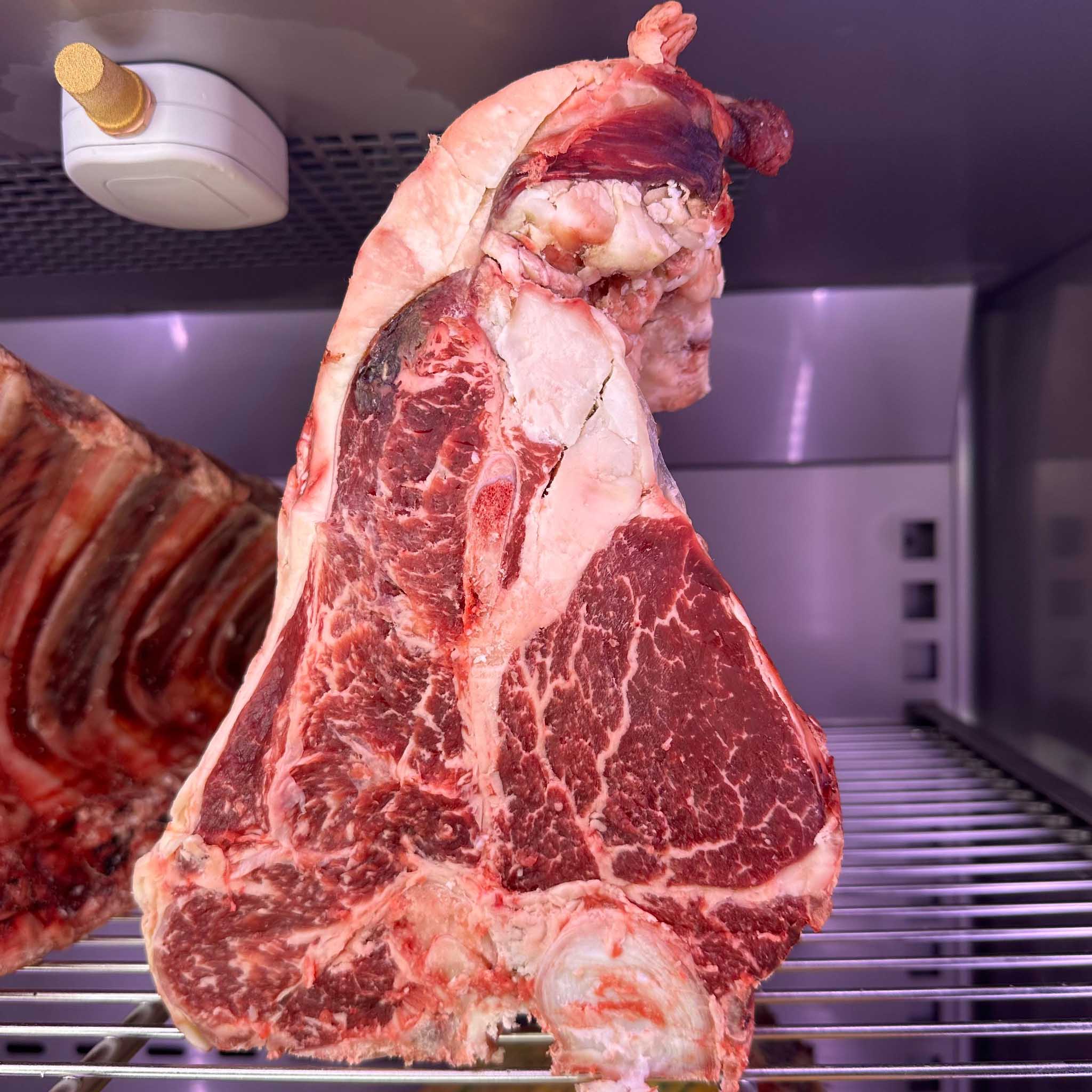 fiorentina morucha dry aged