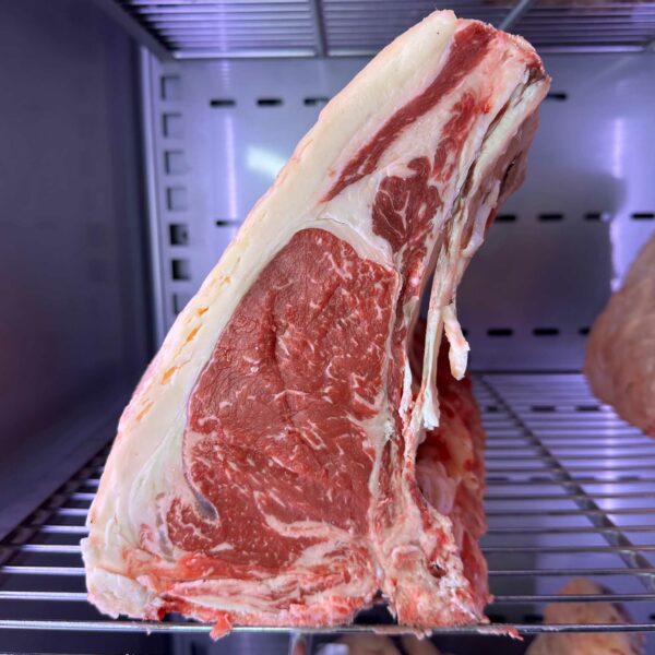 costata red Angus dry aged