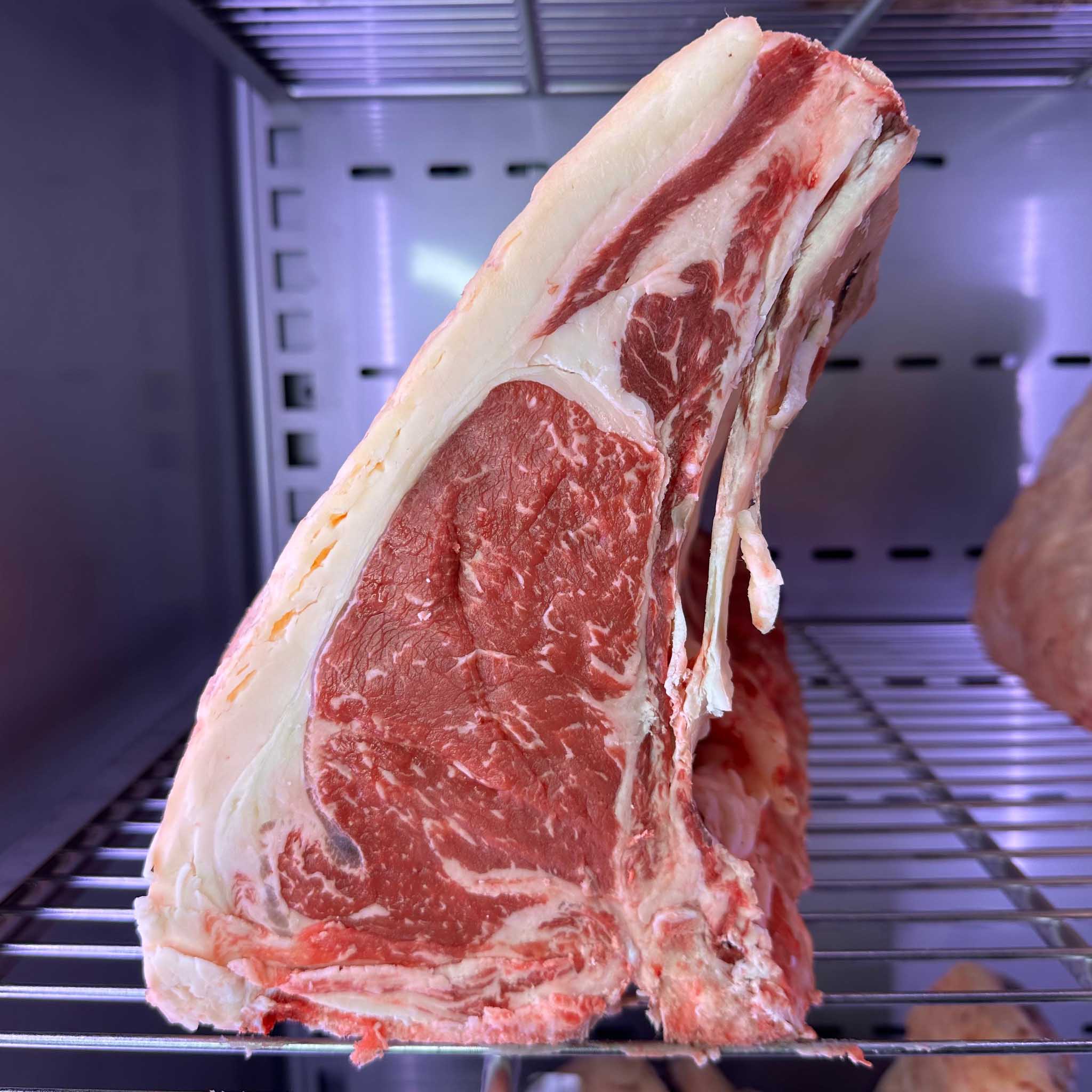 costata red Angus dry aged