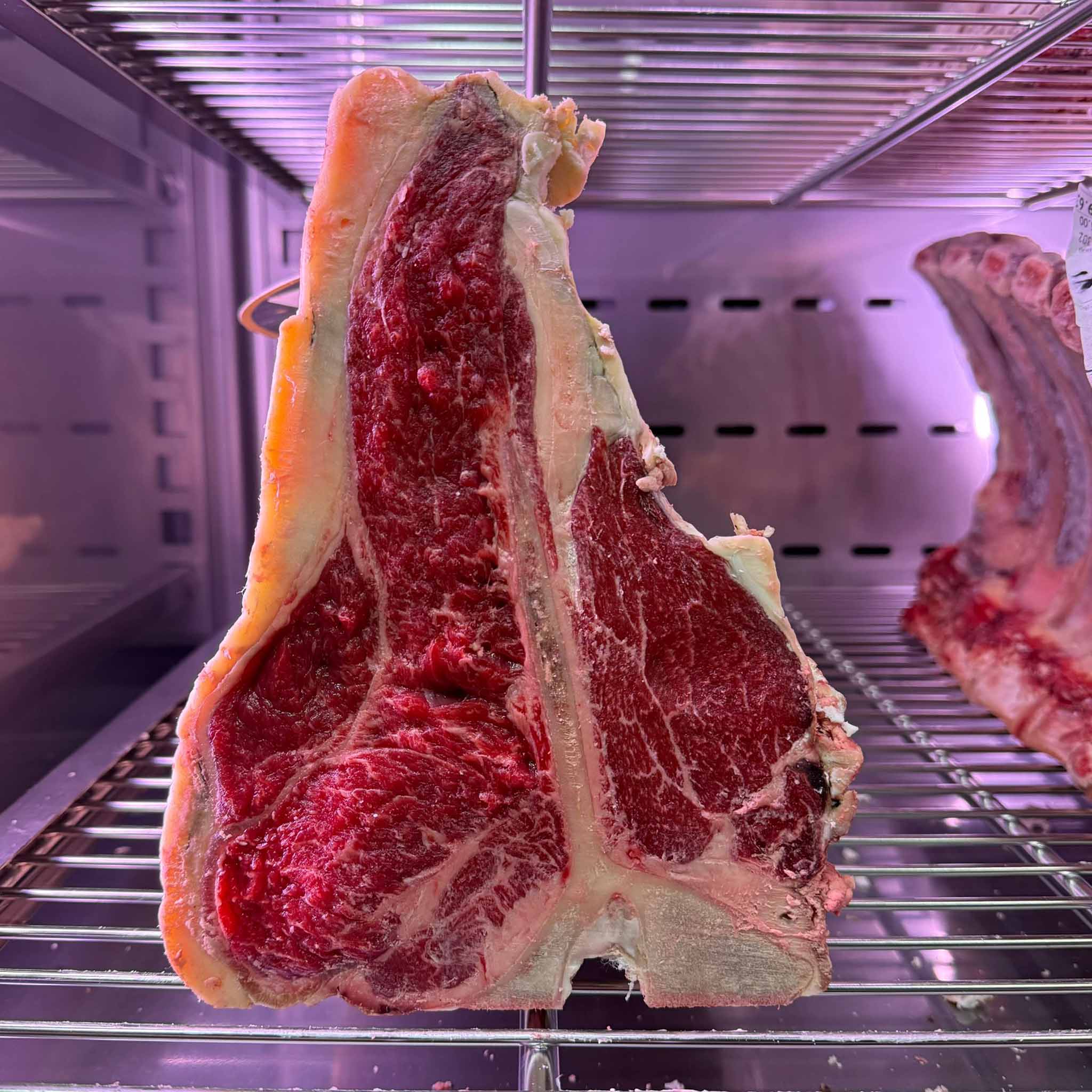 fiorentina pinzgauer