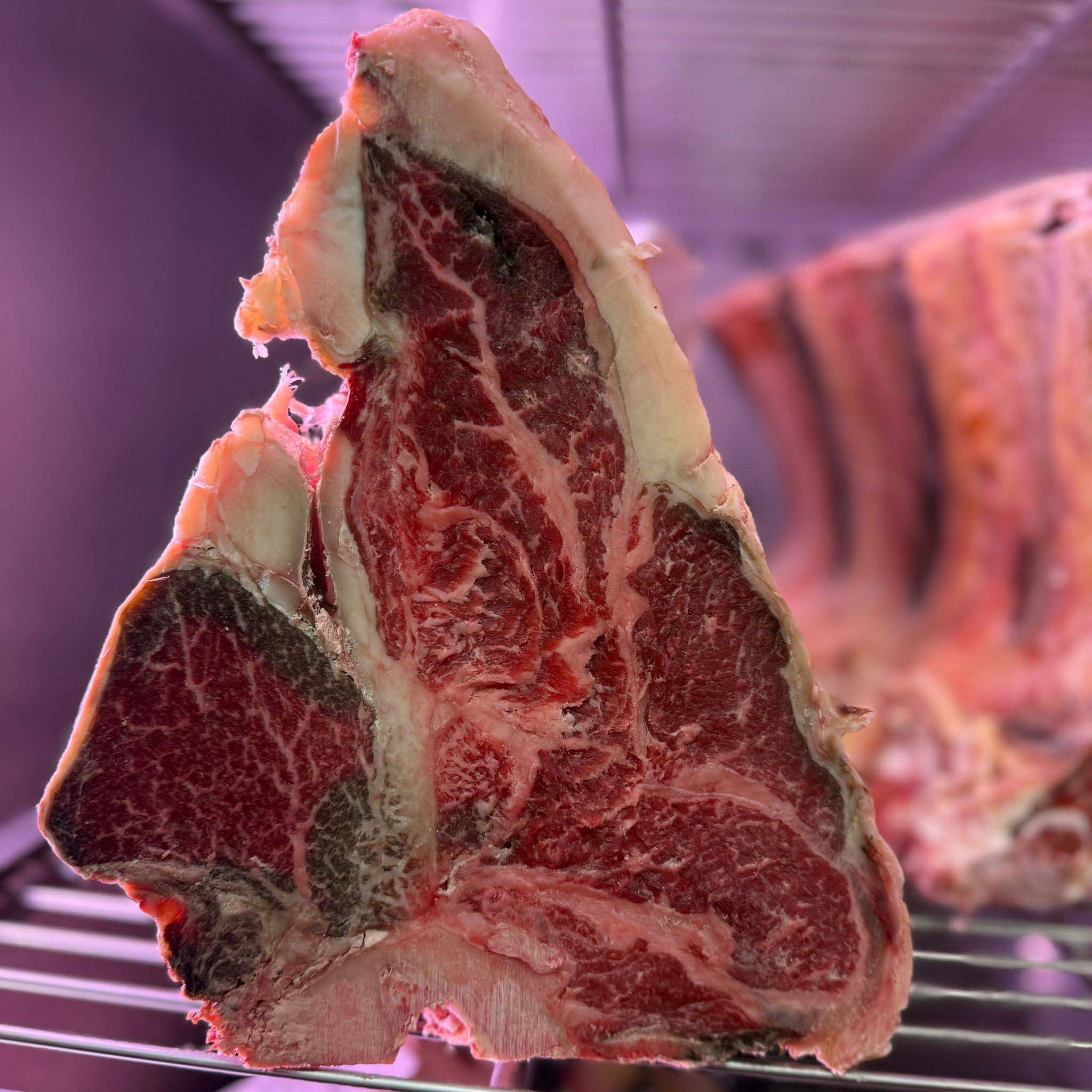 Fiorentina di Bruna Alpina Cross Wagyu
