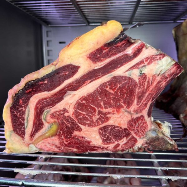 costata duchessa di wolf